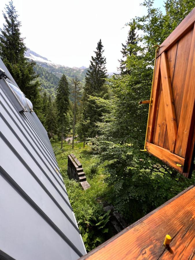 ~Chalet_Rifugio Tra I Boschi~ 셀라 네비아 외부 사진