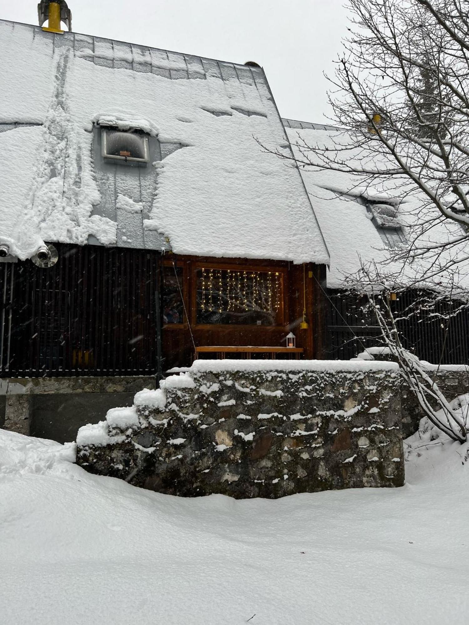 ~Chalet_Rifugio Tra I Boschi~ 셀라 네비아 외부 사진
