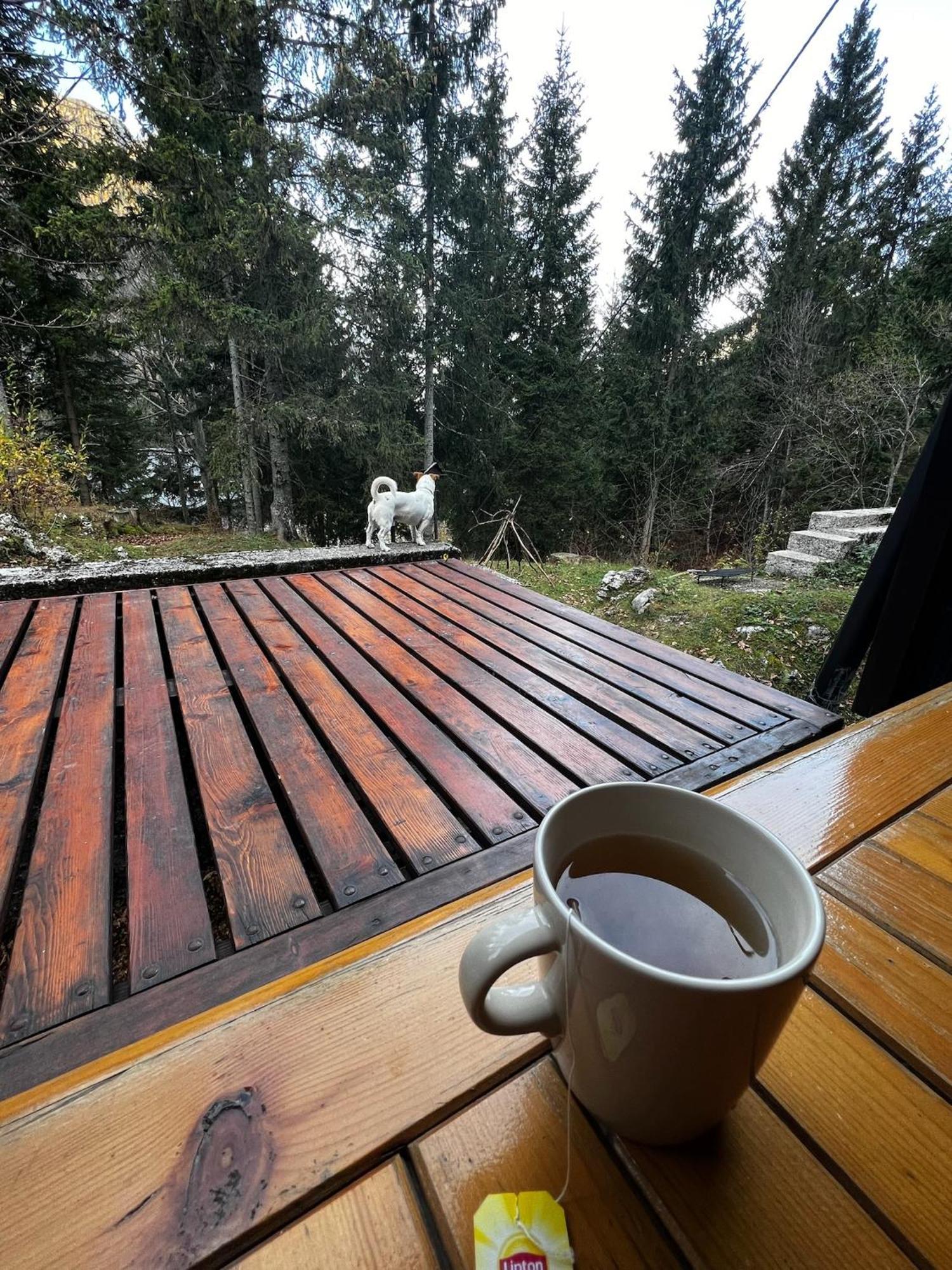 ~Chalet_Rifugio Tra I Boschi~ 셀라 네비아 외부 사진