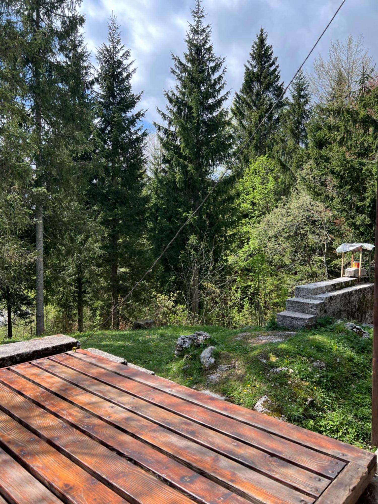 ~Chalet_Rifugio Tra I Boschi~ 셀라 네비아 외부 사진